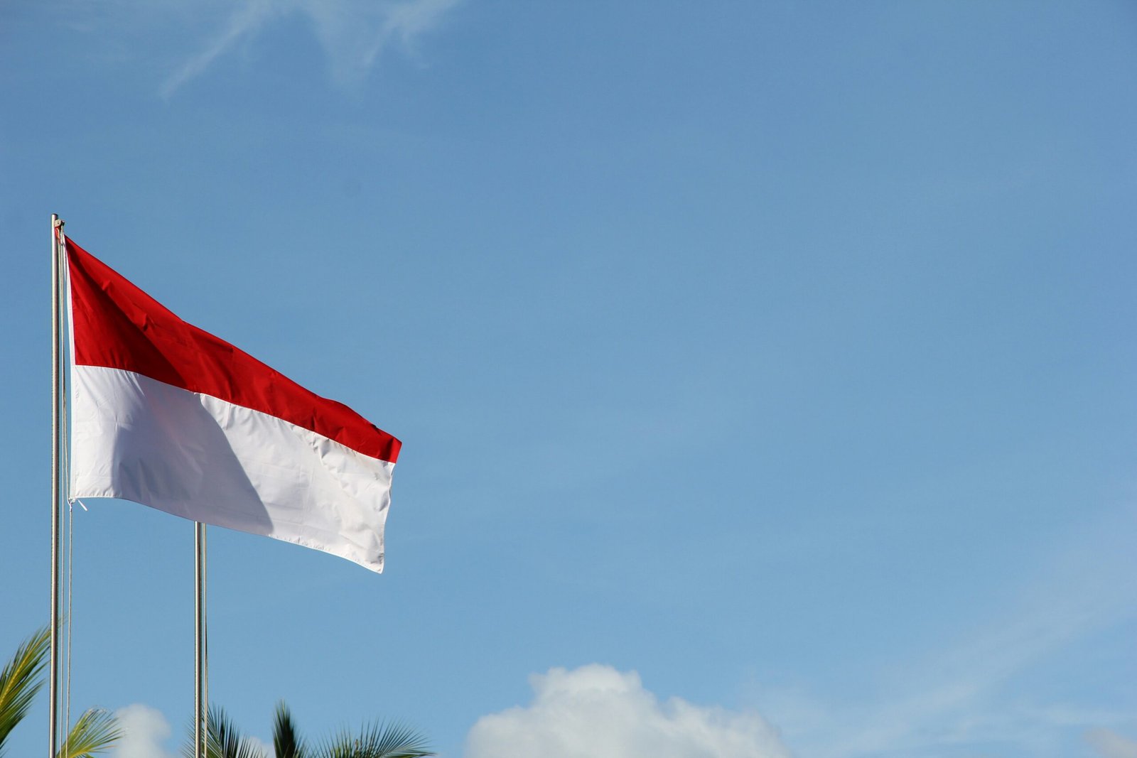 You are currently viewing Bali Travel Guide: What to Do, Eat, and Avoid